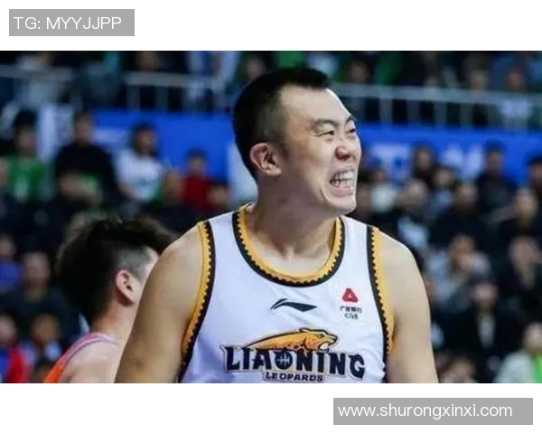 韩德君：从篮球新星到CBA传奇的成长之路与辉煌成就探讨